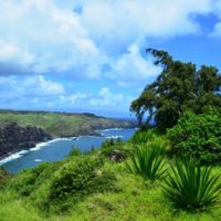 Road to Honolua – Maui’s Coastal Treasures Luxury Tour