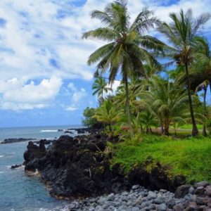 Hana Maui secluded beach Coconut trees