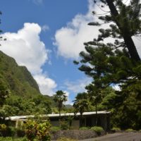 Iao Valley limo tour save on maui