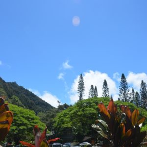 Iao Valley with Stardust Hawaii web