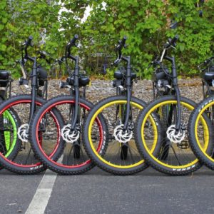 Electric Bicycle Rentals