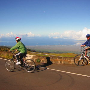 Hybrid Electrical Bicycle Rentals