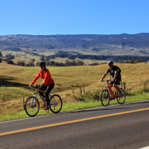 Hybrid Electrical Bicycle Rentals
