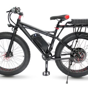 Hybrid Electrical Bicycle Rentals