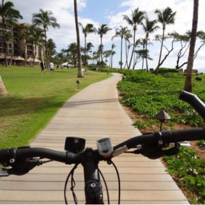 Hybrid Electrical Bicycle Rentals