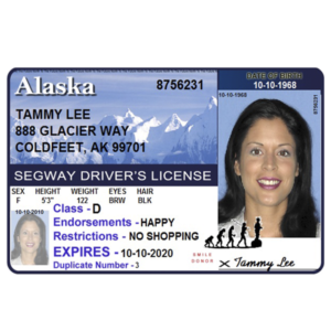 Segway Driver’s License – souvenir from Lahaina, Maui, Hawaii Red