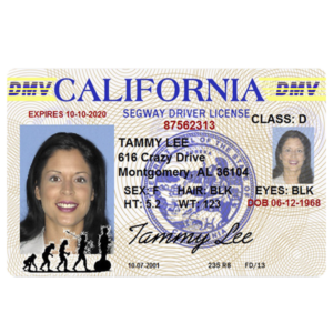 Segway Driver’s License – souvenir from Lahaina, Maui, Hawaii Red