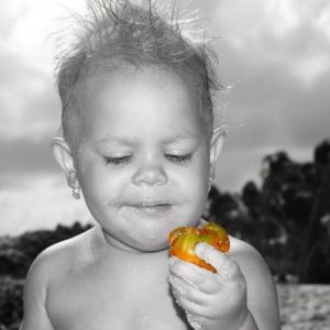Mauis best photography services