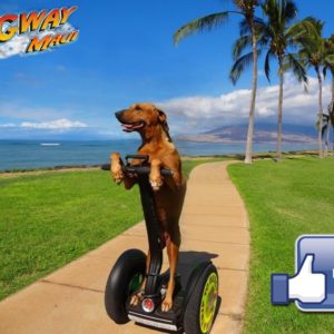 Segway Private Tours in Maui, Hawaii