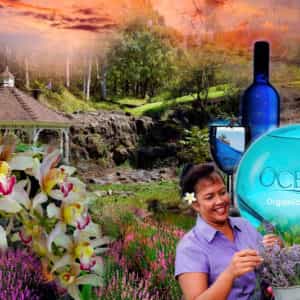 Maui Upcountry tour