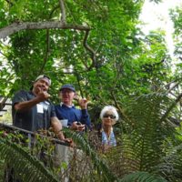 Ocean Vodka Kula Botanical and Lavender Farm tour web