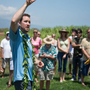 Stardust Hawaii Discounted Tours