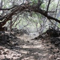 La Perouse Hike