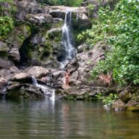 Maui Private Tour Guide