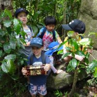 Maui Treasure Hunt April  