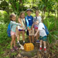 Maui Treasure Hunt & Glass Bottom Boat Combo