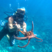 Maui Treasure Hunt & Glass Bottom Boat Combo