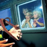 Maui Treasure Hunt & Glass Bottom Boat Combo