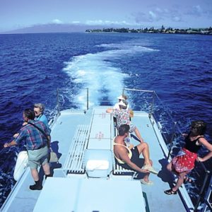Maui Treasure Hunt & Glass Bottom Boat Combo