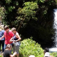 Road to Hana Waterfalls Lunch – Full Circle web